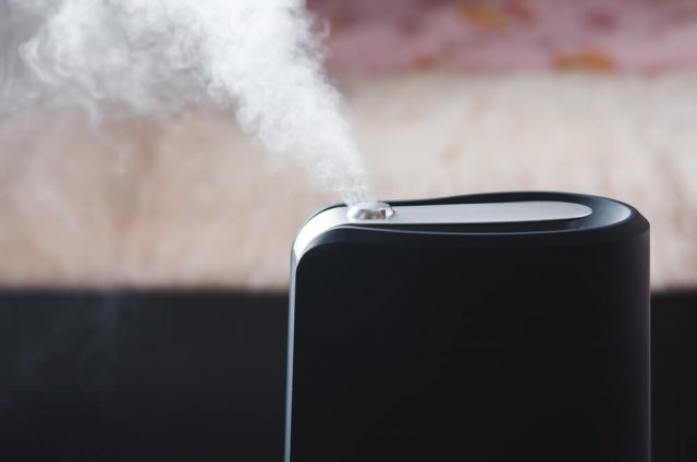 Humidifier vs Dehumidifier Health Benefits | Which is Best for You?