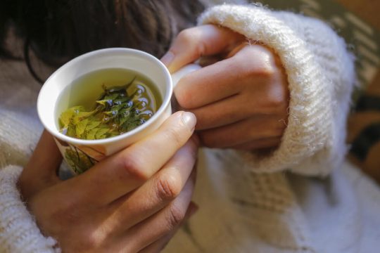 herbs for colds
